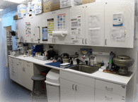 Pharmacy & Laboratory